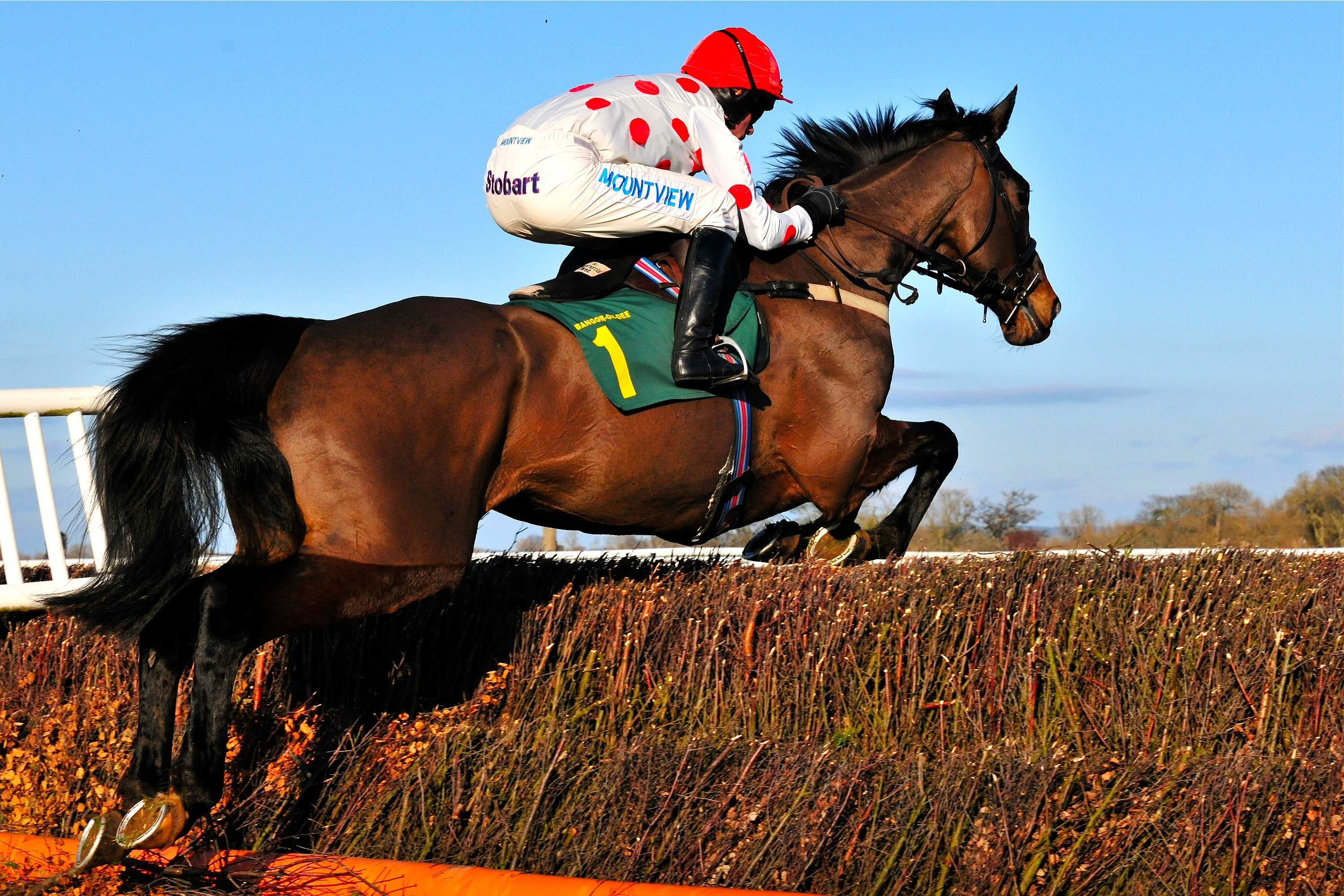 colourfuljump